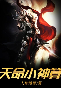 Destiny Little Divination