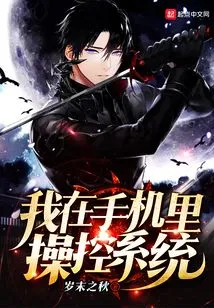 I Control the System from My Phone