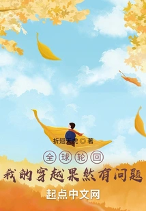 Global Reincarnation: There is Indeed a Problem with My Time Travel