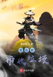 I Collect Garbage in the City