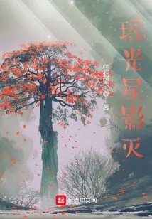 Yaoguang Star Shadow is Destroyed