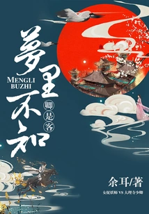 In the Dream, I Didn't Know That You Were a Guest