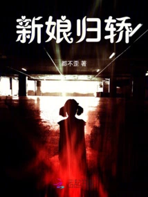 The Bride Returns Home in Sedan Chair