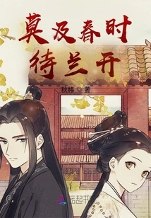 Don't Wait for the Orchids to Bloom in Spring