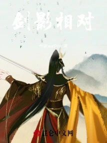 Swords and Shadows Facing Each Other