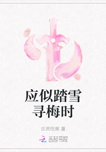 It Should Be Like Walking Through the Snow in Search of Plum Blossoms