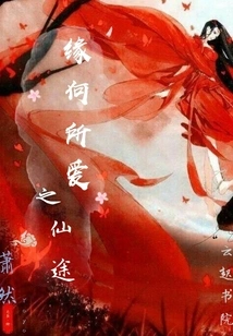 Why Do You Love the Fairy Road?