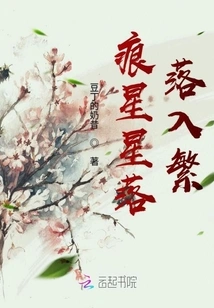 Traces of Stars Falling into the Sky