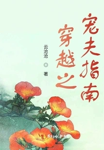 Guide to the Beloved Husband of Time Travel