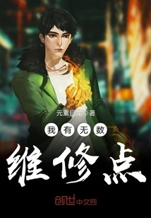 I Have Numerous Repair Points