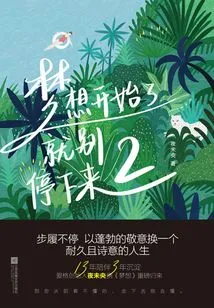 The Dream Has Started, Don't Stop 2