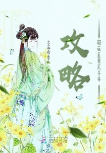 Strategy Guide for the Straight Male Prince Gangtie