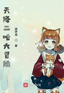 Adventure Days with Elves