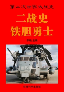 History of World War Ii: Brave Warriors (history of World War Ii)