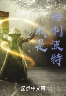 Hogwarts: Harry the Gray Wizard