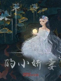 Mr. Lu's Little Wife