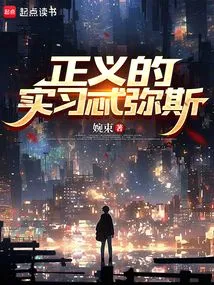 Justice's Internship Themis