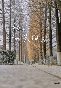 Junior High School, Where to Go?