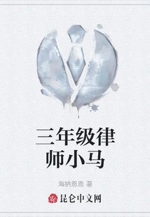 Third-year Lawyer Xiao Ma