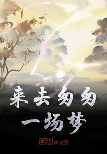 Come and Go in a Hurry, a Dream