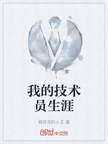 My Career as a Technician