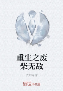 Rebirth of the Useless Invincible