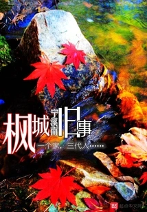 Old Things in Maple City