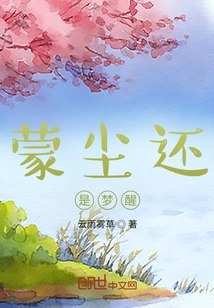 Covered in Dust or Wake up from a Dream