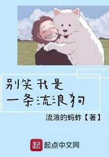 Don't Laugh, I'm a Stray Dog