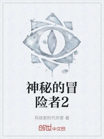 Mysterious Adventurer 2