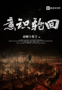 Reincarnation of Consciousness