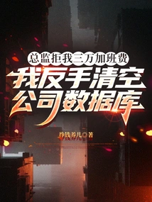 The Director Refused Me 30,000 Yuan in Overtime Pay, so I Cleared the Company Database