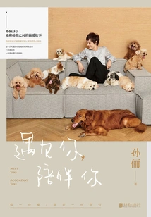 Meet You, Accompany You