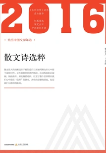 Selected Prose Poems in 2016