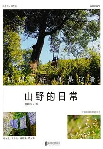 Daily Life in the Mountains