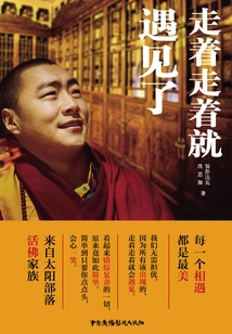 We Met While Walking