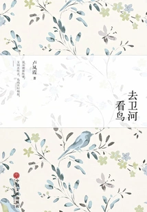 Go to Weihe to Watch Birds