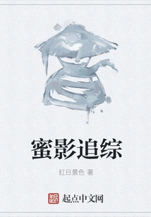 Honey Shadow Chasing Comprehensive