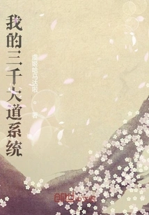 My Three Thousand Avenues System