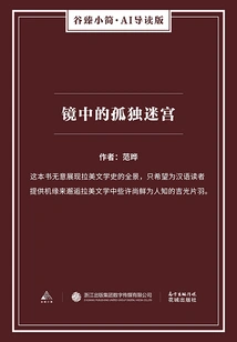 Lonely Maze in the Mirror