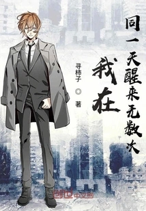 I Woke up Countless Times on the Same Day