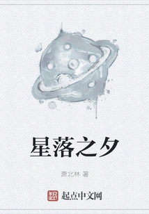 Evening of Falling Stars