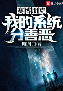 Cyberpunk: My System is Divided into Good and Evil