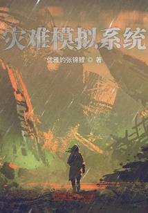 Disaster Simulation System