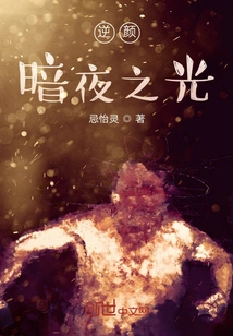 The Light of the Dark Night