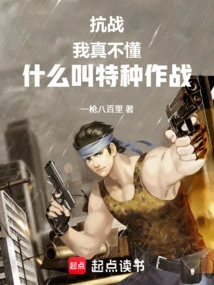 Anti-japanese War: I Really Don't Understand What Special Operations Is