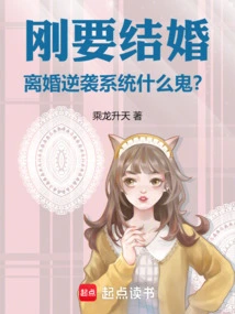 Just About to Get Married, What the Hell is the Divorce Counterattack System?