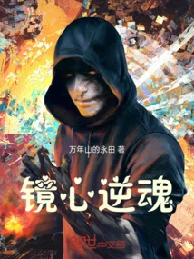Mirror Heart Reverse Soul