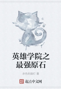 Hero Academia's Strongest Stone