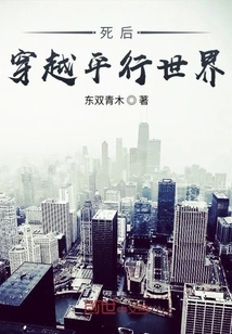 Traveling Through Parallel Worlds after Death